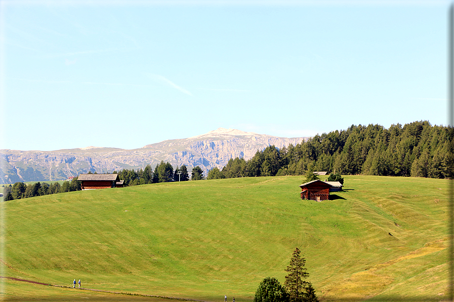 foto Alpe di Siusi
